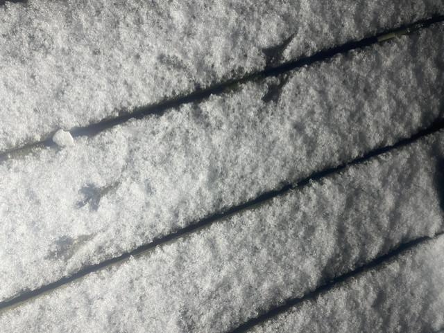 Traces de pattes d'oiseau dans la neige, terrasse
