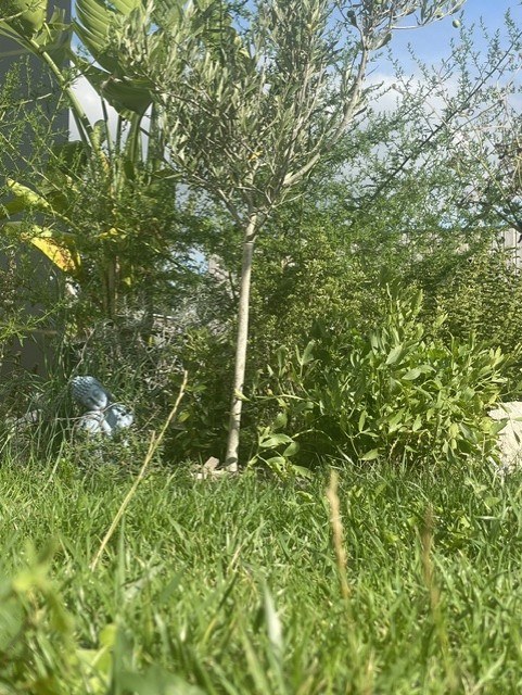 Statue au jardin, parmi les plantations