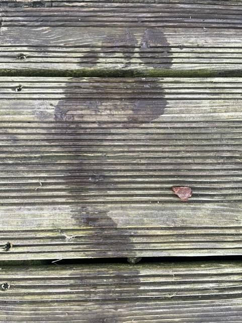 Trace de pas mouillée sur la terrasse en bois