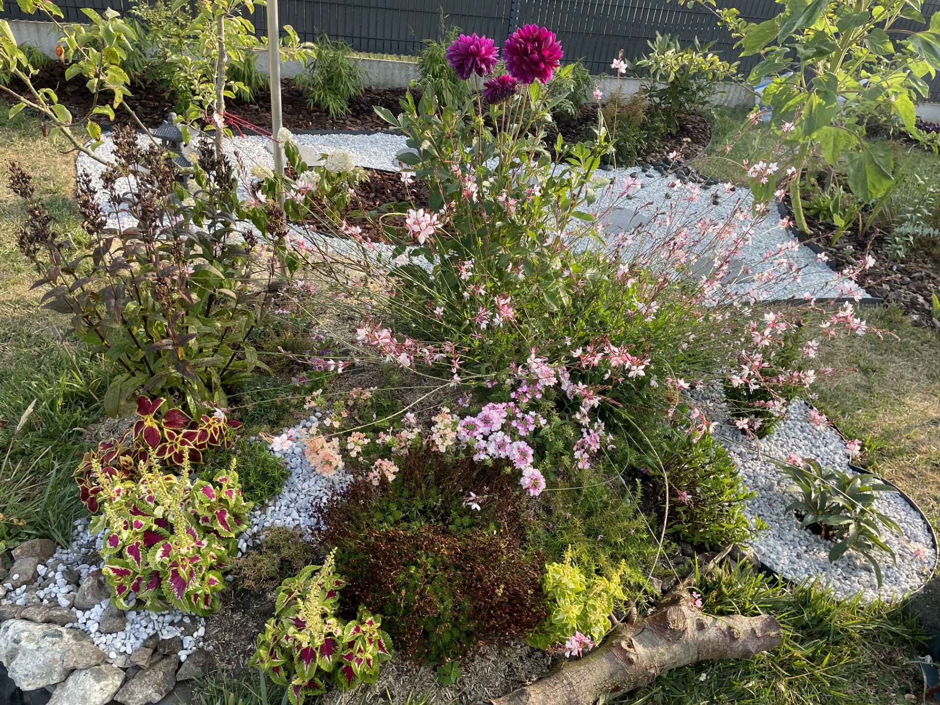 Le jardin du JDS