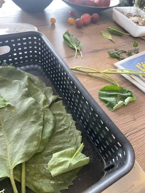 Panier avec les végétaux récoltés au jardin
