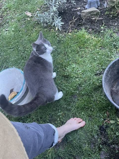 Pieds nus au jardin, avec le chat