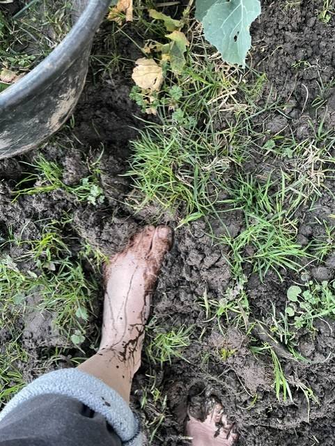 Pieds nus en plein jardinage