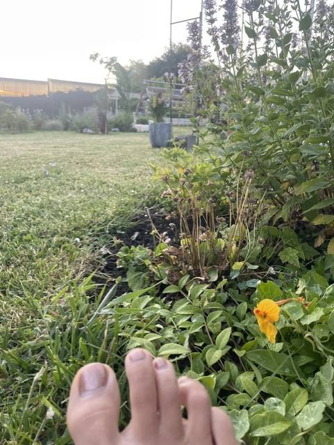Pied dans le jardin