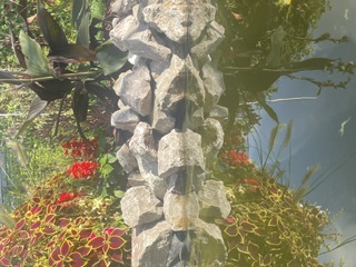 Le bassin et ses reflets